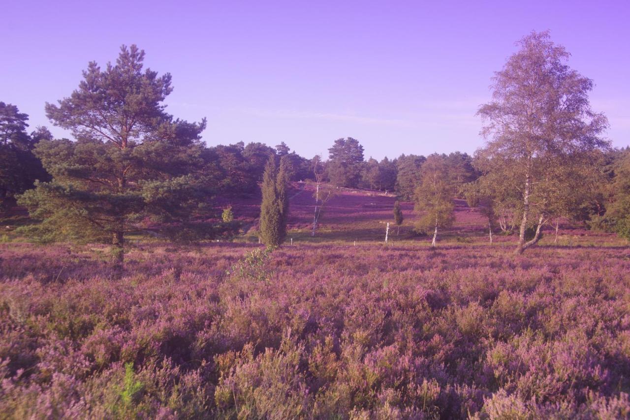 Ferienwohnung Schuur - Buchholz In Der Nordheide Exteriör bild