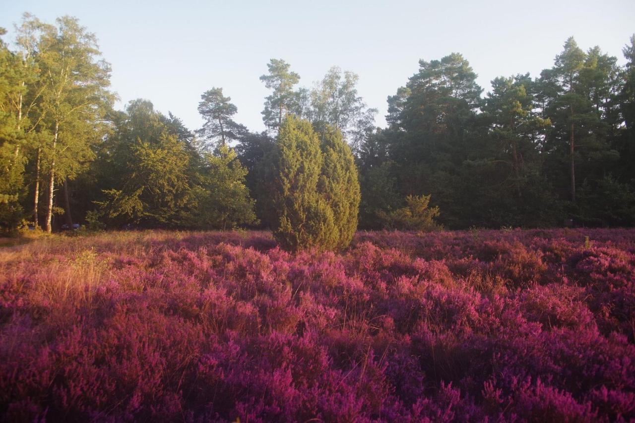 Ferienwohnung Schuur - Buchholz In Der Nordheide Exteriör bild